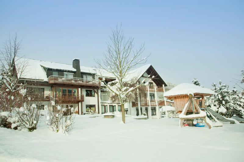 Haus Alexandra Inkl Meinecard Plus Willingen  Eksteriør billede